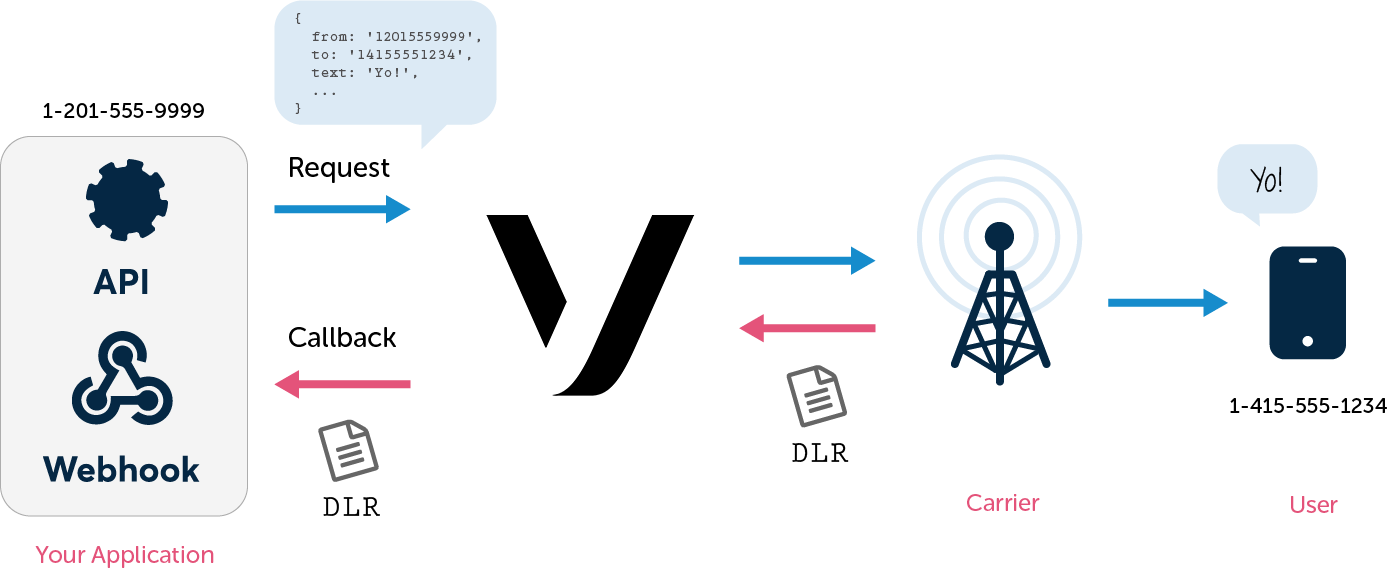 How to Receive an SMS Delivery Receipt with Node.js Vonage API Developer